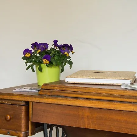 Scheune Reichenwalde